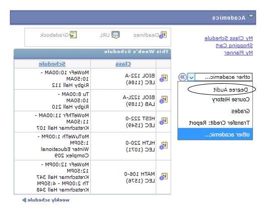 Degree Audit in PeopleSoft